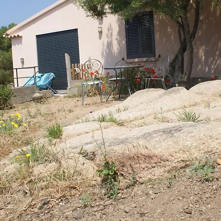 Lumineux A 30 M², Vue Daire Calvi (Corsica)
